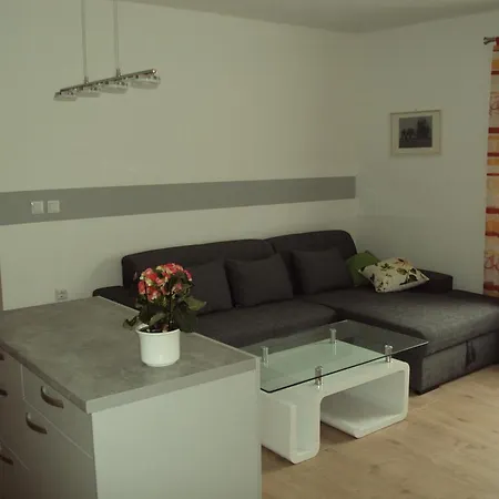 Zore Ungar Apartment Rogatec